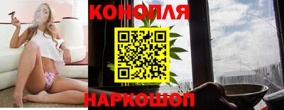крисы Апшеронск