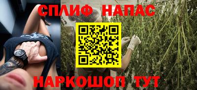 крисы Апшеронск