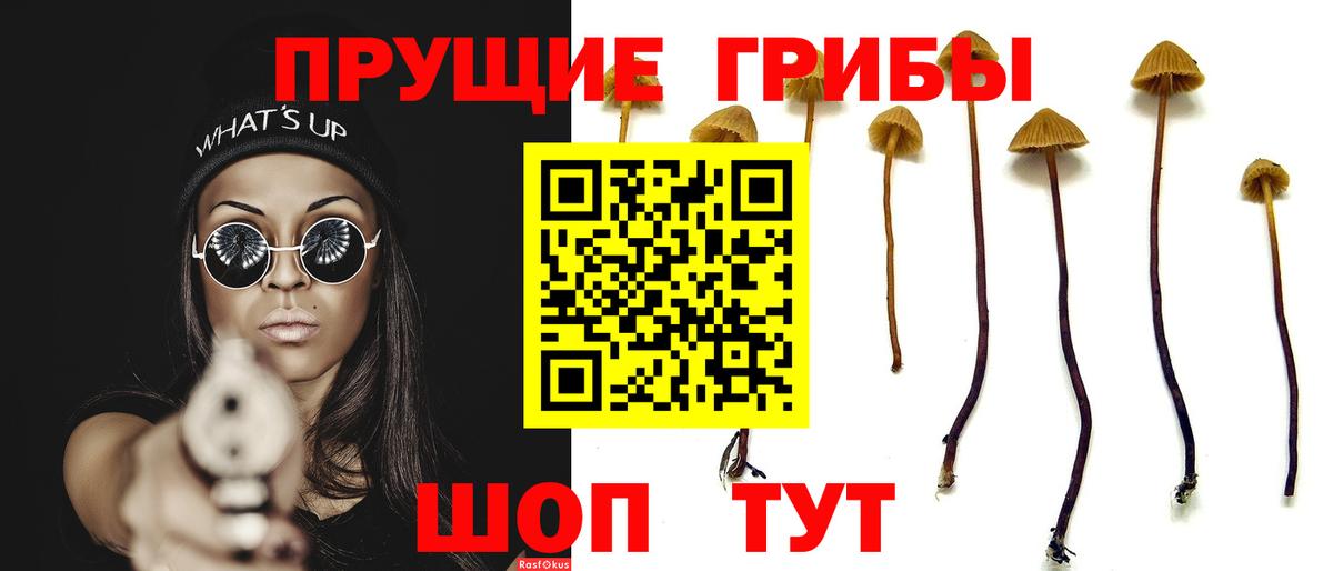 Вязники  Галлюциногенные грибы Magic Shrooms  Вход с VPN 